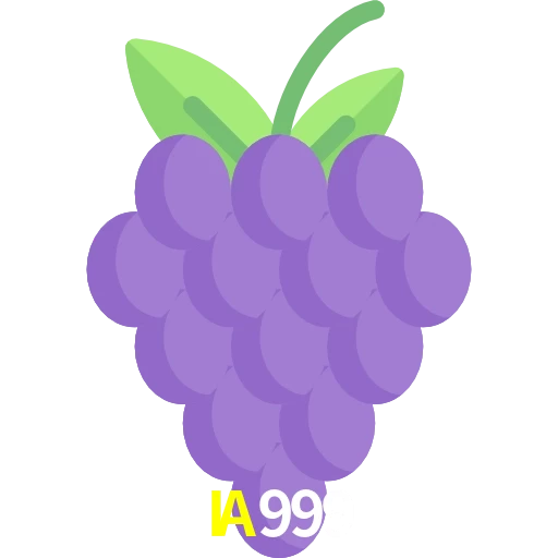 IA999